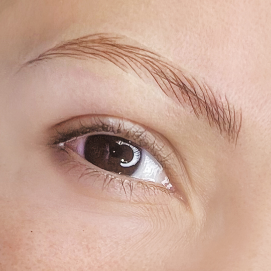 Micropigmentacion Silvana Bustos Studio 